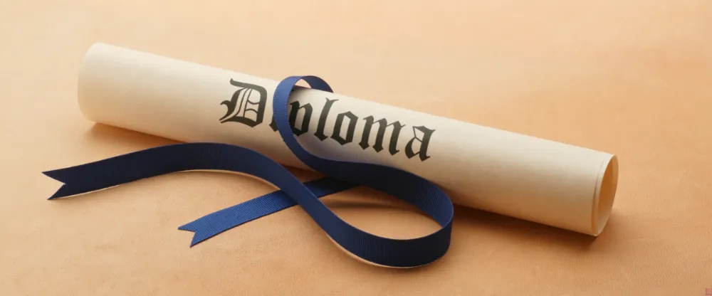 Diplomalı Cahiller Bilmelidir-ki Eğitim Cehaleti Alır