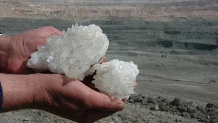 Toprağın Sessiz Gücü: Bor